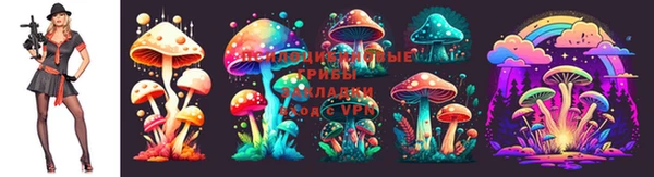 каннабис Коряжма