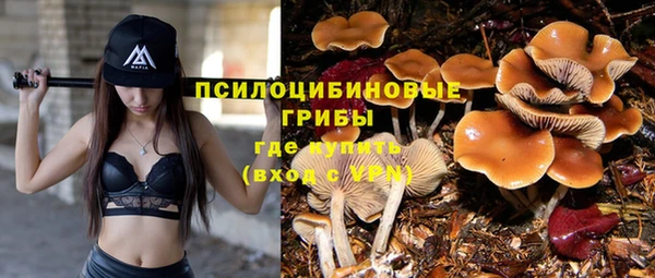 каннабис Коряжма
