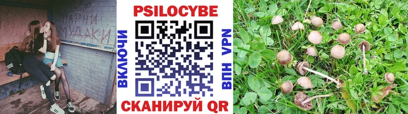 Галлюциногенные грибы GOLDEN TEACHER Краснокамск